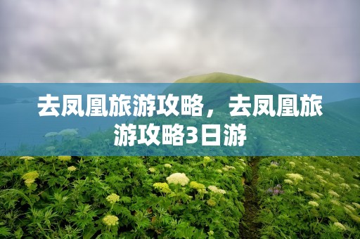 去凤凰旅游攻略，去凤凰旅游攻略3日游