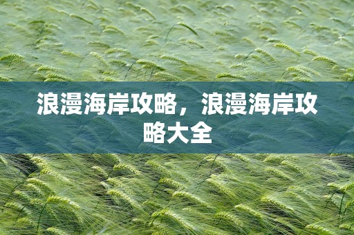 浪漫海岸攻略，浪漫海岸攻略大全