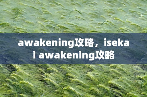 awakening攻略，isekai awakening攻略