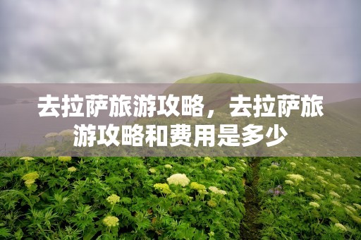 去拉萨旅游攻略，去拉萨旅游攻略和费用是多少