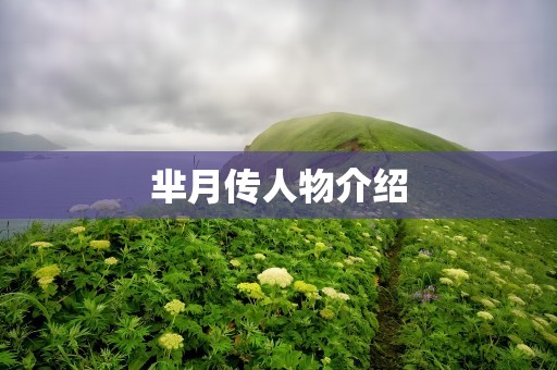 芈月传人物介绍