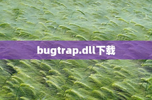 bugtrap.dll下载