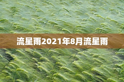 流星雨2021年8月流星雨