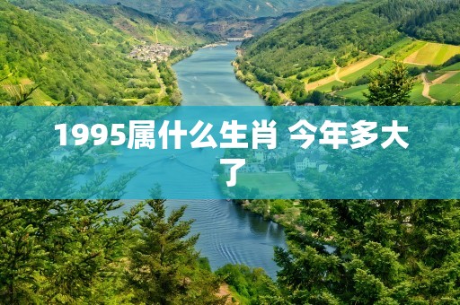 1995属什么生肖 今年多大了