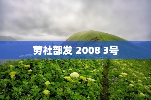 劳社部发 2008 3号