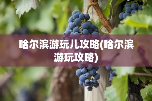 哈尔滨游玩儿攻略(哈尔滨游玩攻略)