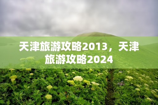 天津旅游攻略2013，天津旅游攻略2024