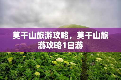 莫干山旅游攻略，莫干山旅游攻略1日游