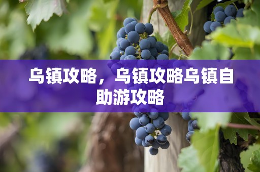 乌镇攻略，乌镇攻略乌镇自助游攻略