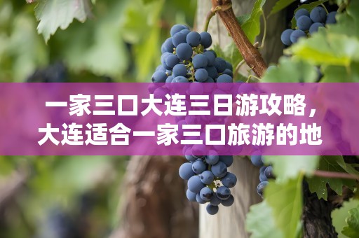 一家三口大连三日游攻略，大连适合一家三口旅游的地方