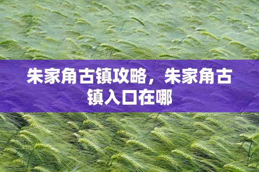 朱家角古镇攻略，朱家角古镇入口在哪