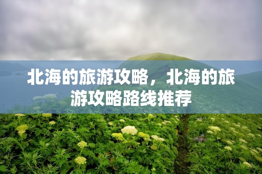 北海的旅游攻略，北海的旅游攻略路线推荐