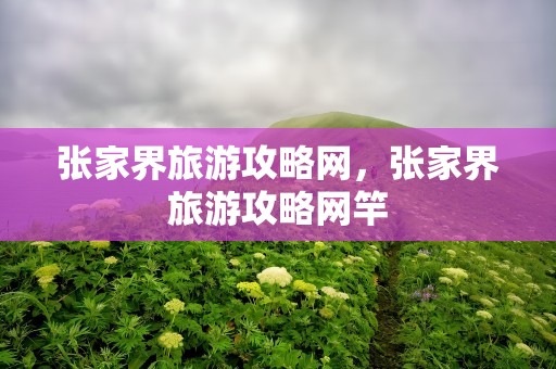 张家界旅游攻略网，张家界旅游攻略网竿