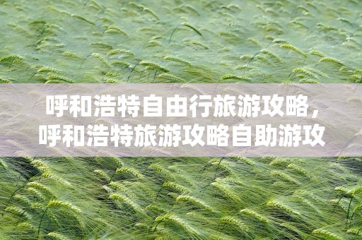 呼和浩特自由行旅游攻略，呼和浩特旅游攻略自助游攻略