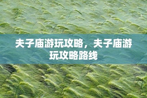 夫子庙游玩攻略，夫子庙游玩攻略路线