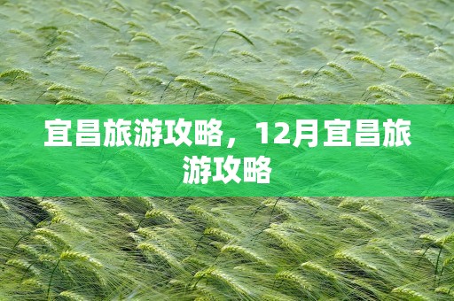 宜昌旅游攻略，12月宜昌旅游攻略