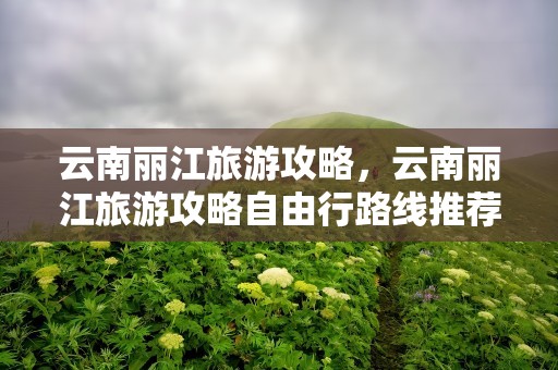 云南丽江旅游攻略，云南丽江旅游攻略自由行路线推荐