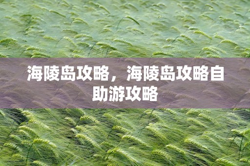 海陵岛攻略，海陵岛攻略自助游攻略