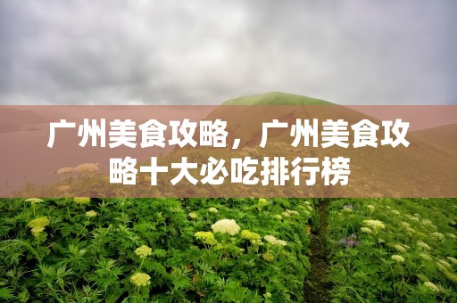 广州美食攻略，广州美食攻略十大必吃排行榜