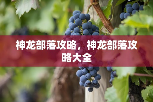 神龙部落攻略，神龙部落攻略大全