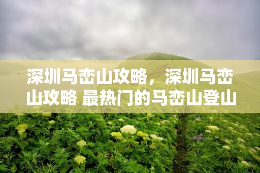 深圳马峦山攻略，深圳马峦山攻略 最热门的马峦山登山路线