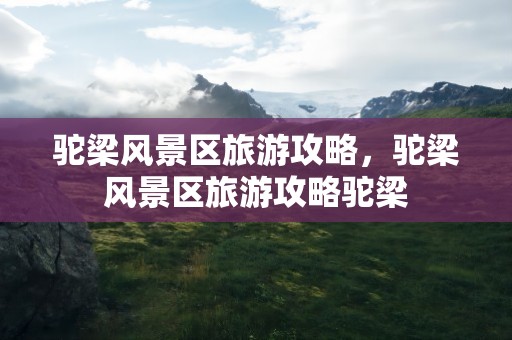 驼梁风景区旅游攻略，驼梁风景区旅游攻略驼梁