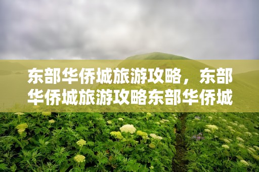 东部华侨城旅游攻略，东部华侨城旅游攻略东部华侨城