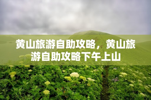 黄山旅游自助攻略，黄山旅游自助攻略下午上山