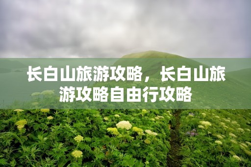 长白山旅游攻略，长白山旅游攻略自由行攻略