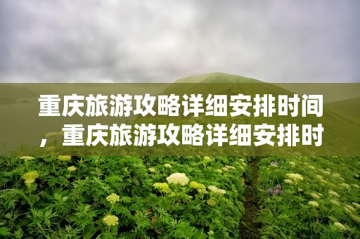 重庆旅游攻略详细安排时间，重庆旅游攻略详细安排时间表