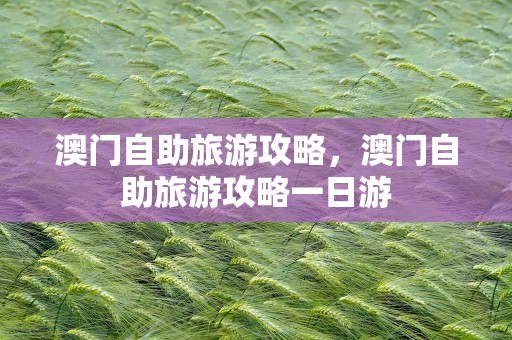 澳门自助旅游攻略，澳门自助旅游攻略一日游