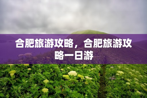 合肥旅游攻略，合肥旅游攻略一日游