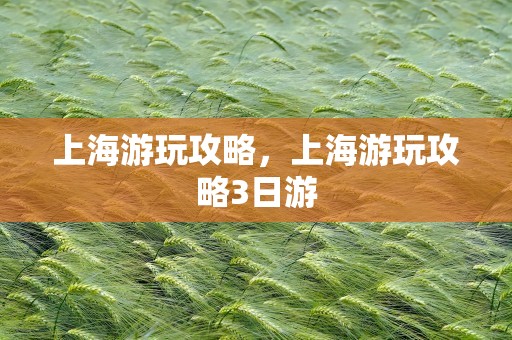 上海游玩攻略，上海游玩攻略3日游