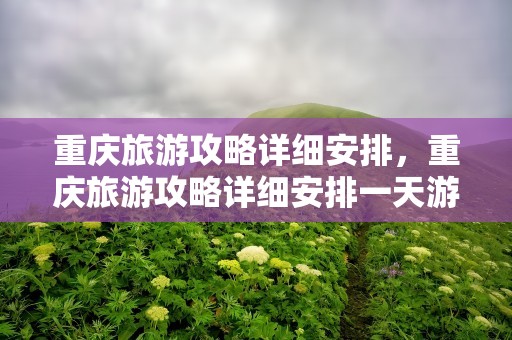 重庆旅游攻略详细安排，重庆旅游攻略详细安排一天游玩