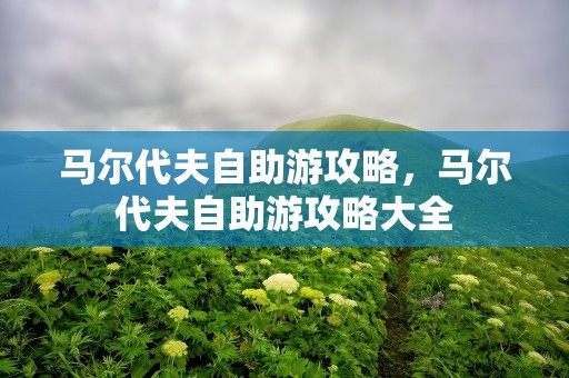 马尔代夫自助游攻略，马尔代夫自助游攻略大全