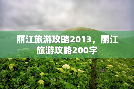 丽江旅游攻略2013，丽江旅游攻略200字