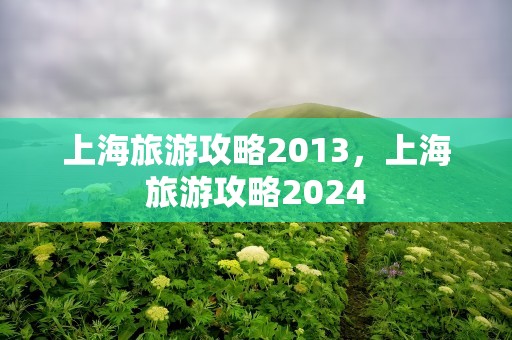 上海旅游攻略2013，上海旅游攻略2024