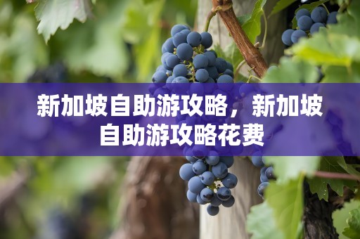 新加坡自助游攻略，新加坡自助游攻略花费