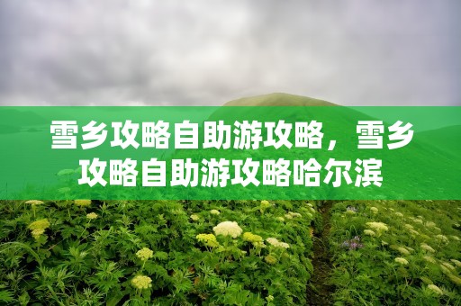 雪乡攻略自助游攻略，雪乡攻略自助游攻略哈尔滨