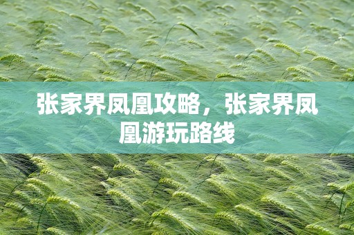 张家界凤凰攻略，张家界凤凰游玩路线