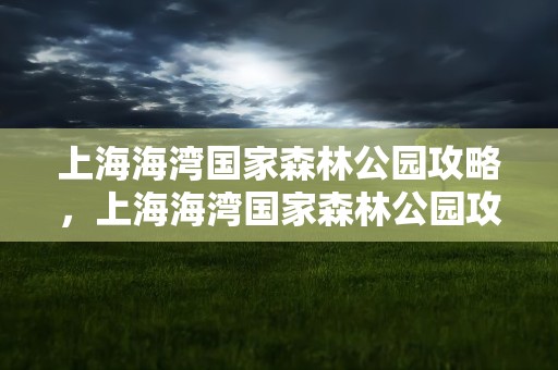 上海海湾国家森林公园攻略，上海海湾国家森林公园攻略一日游