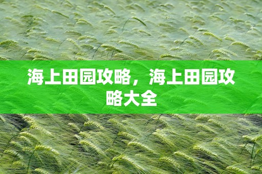 海上田园攻略，海上田园攻略大全