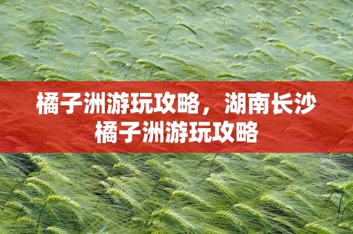 橘子洲游玩攻略，湖南长沙橘子洲游玩攻略