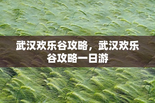 武汉欢乐谷攻略，武汉欢乐谷攻略一日游