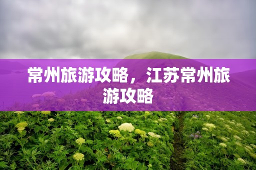 常州旅游攻略，江苏常州旅游攻略