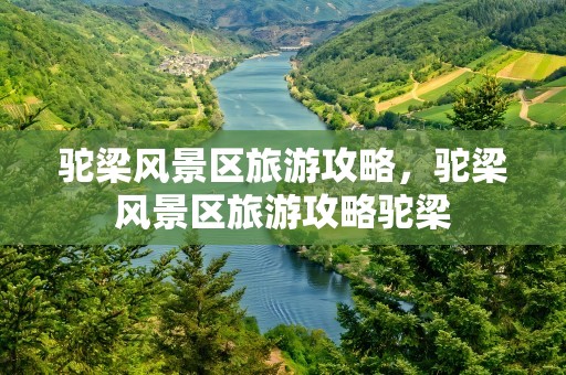 驼梁风景区旅游攻略，驼梁风景区旅游攻略驼梁