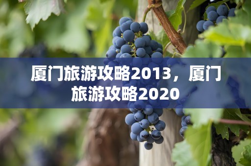 厦门旅游攻略2013，厦门旅游攻略2020