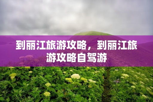 到丽江旅游攻略，到丽江旅游攻略自驾游