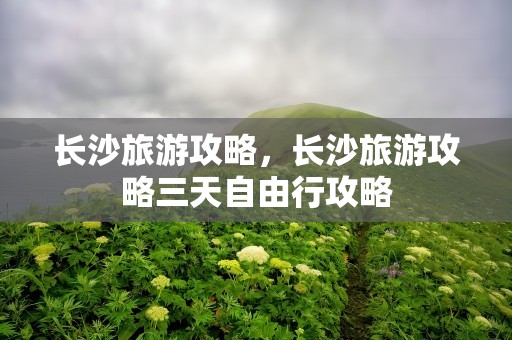 长沙旅游攻略，长沙旅游攻略三天自由行攻略