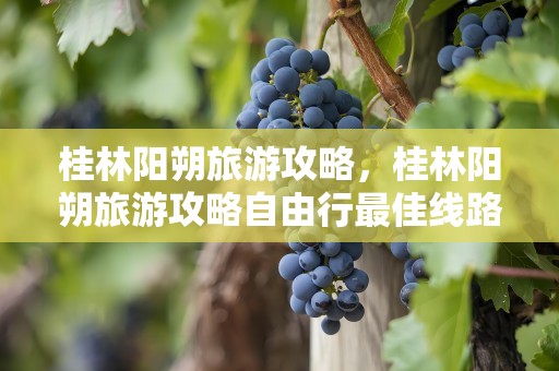 桂林阳朔旅游攻略，桂林阳朔旅游攻略自由行最佳线路